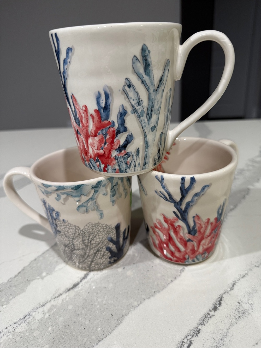 PIER 1 Sea Life UNDERWATER ADVENTURE Red White & Blue CORAL 16oz MUG Cup